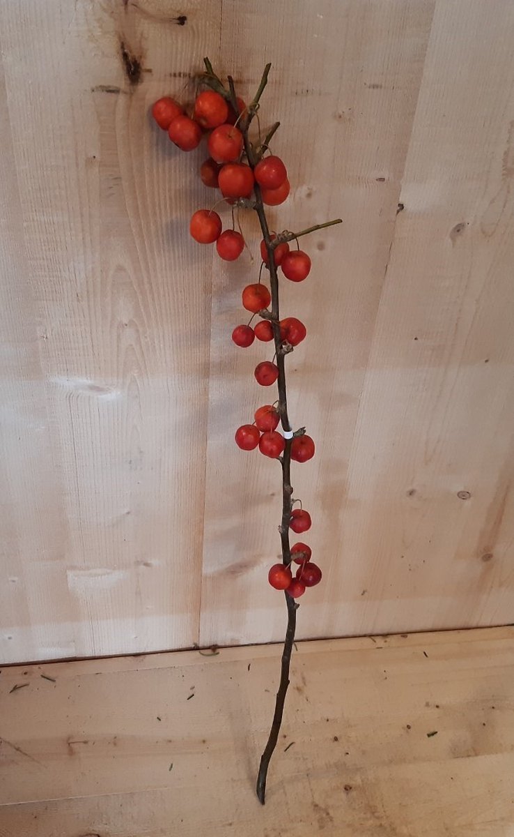 Kerstgroen 1 tak met appeltjes Warentuin Natuurlijk