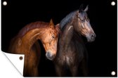 Tuindecoratie Paarden - Dieren - Portret - Bruin - 60x40 cm - Tuinposter - Tuindoek - Buitenposter