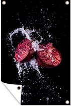Muurdecoratie Granaatappel - Fruit - Water - Zwart - Paars - 120x180 cm - Tuinposter - Tuindoek - Buitenposter
