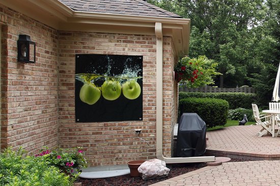 Toile de jardin Pommes - Fruit - Water - Zwart - Vert - 100x100 cm