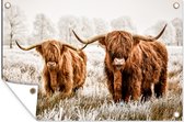 Muurdecoratie Schotse hooglander - Koe - Natuur - Winter - 180x120 cm - Tuinposter - Tuindoek - Buitenposter