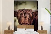 Behang - Fotobehang Schotse hooglander - Licht - Portret - Natuur - Breedte 225 cm x hoogte 350 cm