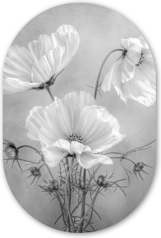 Muurovaal - Wandovaal - Kunststof Wanddecoratie - Ovalen Schilderij - Stilleven - Bloemen - Zwart wit - Klaproos - Botanisch - 40x60 cm - Ovale spiegel vorm op kunststof