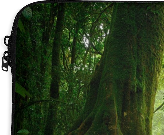 Housse pour ordinateur portable 15,6 pouces - Jungle - Pierres - Water - Nature - Plantes - Housse pour ordinateur portable