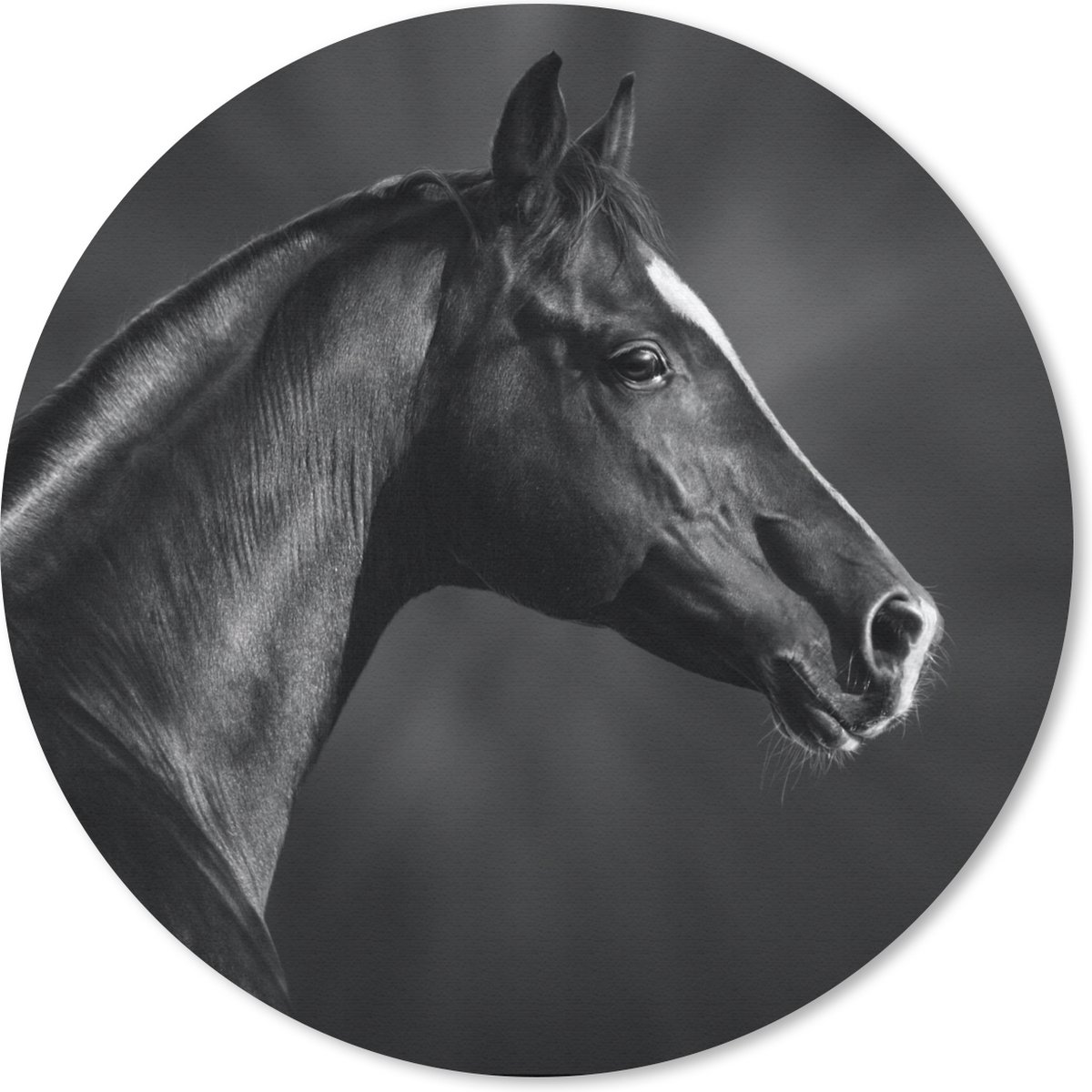 Muismat rond 40x40 cm - Mousepad Paard - Dieren - Zwart - Wit - Portret - Ronde muismatten