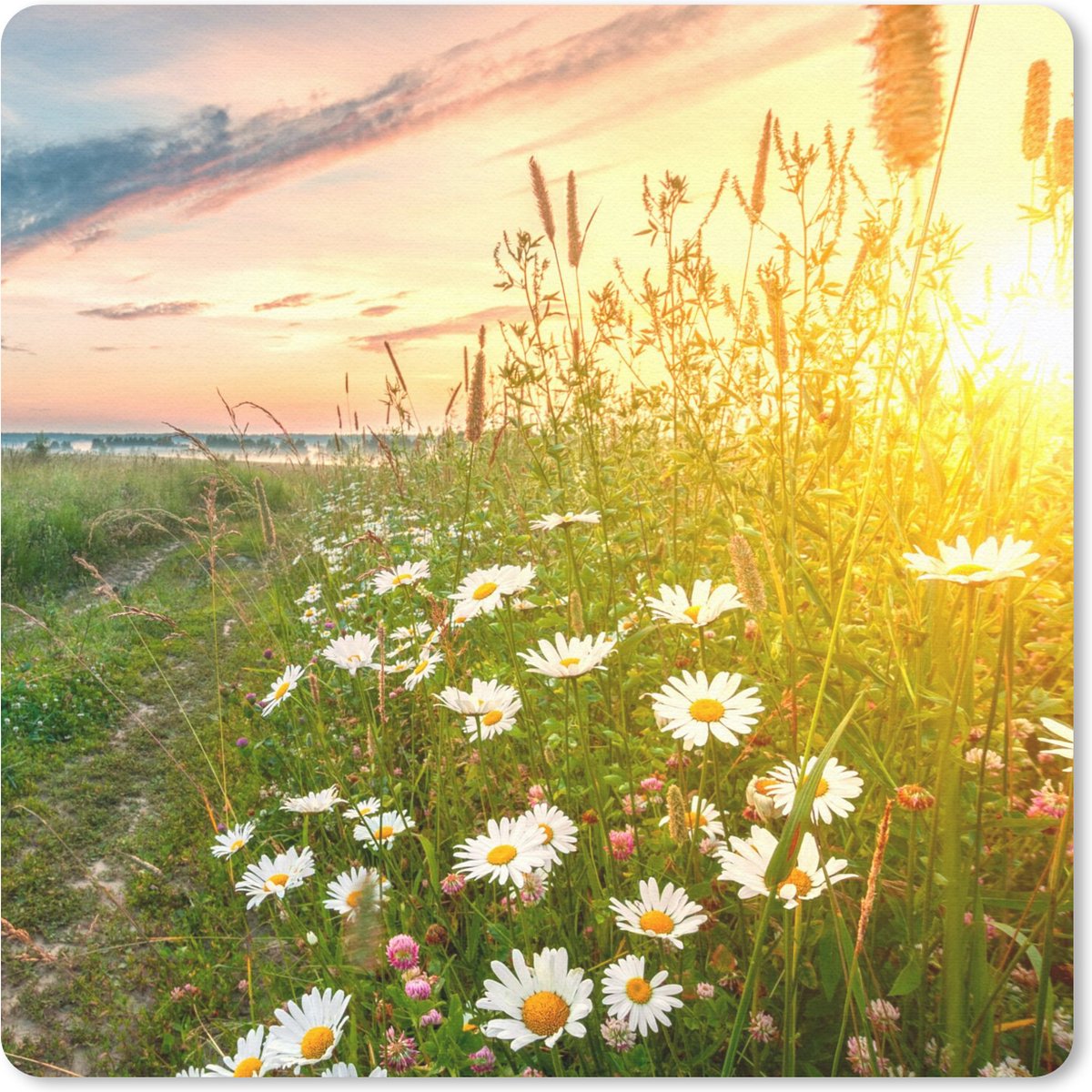 Muismat 30x30 cm - Mousepad Bloemen - Madelief - Natuur - Zon - Horizon - Muismatten