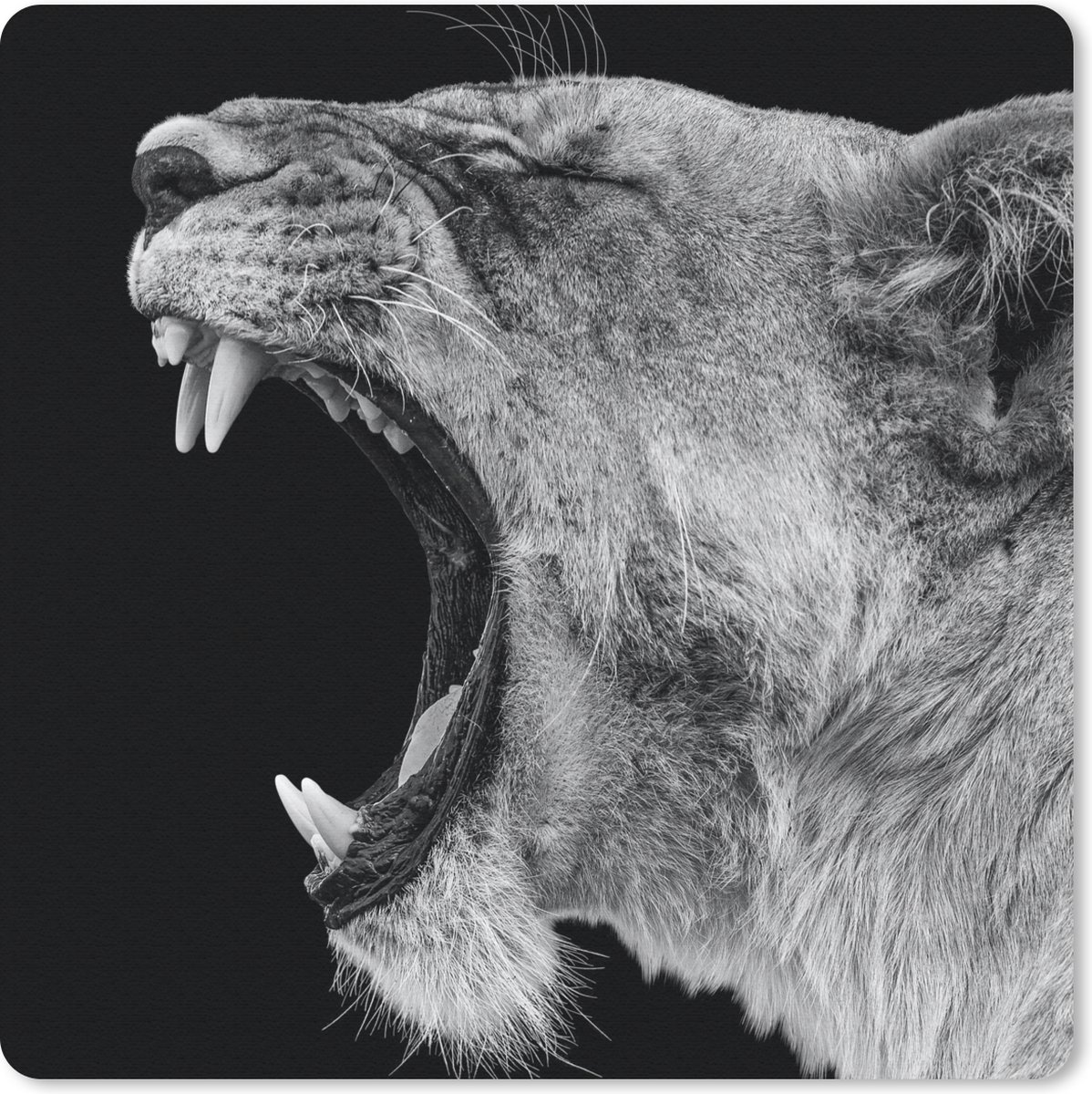 Muismat 30x30 cm - Mousepad Dieren - Leeuw - Zwart - Wit - Portret - Muismatten