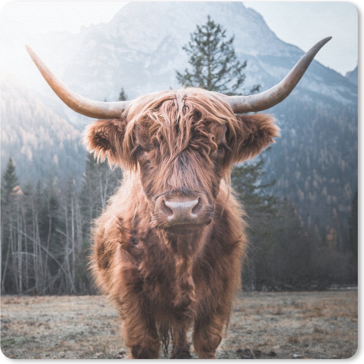 Muismat 20x20 cm - Mousepad Schotse hooglander - Koe - Dieren - Berg - Natuur - Muismatten