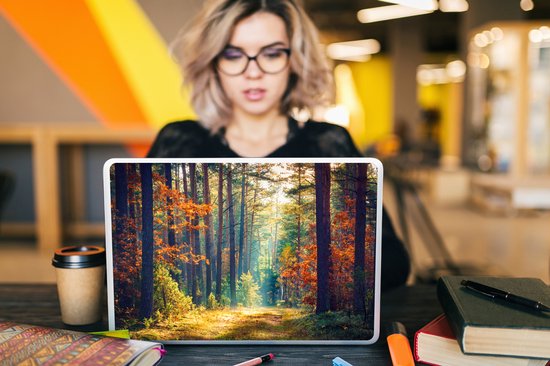 Sticker ordinateur portable - 15,6 pouces - Forêt - Soleil - Nature - Automne