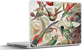 Laptop sticker - 13.3 inch - Kolibrie - Vintage - Ernst Haeckel - Vogel - Kunst - Natuur - 31x22,5cm - Laptopstickers - Laptop skin - Cover