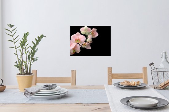 Stickers muraux - Sticker Feuille - Orchidée - Fleurs - Rose - Nature Morte - Flora - 40x30 cm - Film Adhésif - Stickers muraux Muraux Chambre Enfant - Papier Peint Auto Adhésif