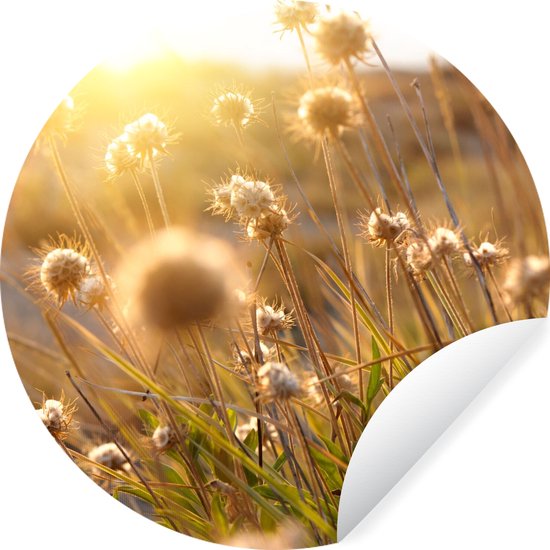 WallCircle - Stickers muraux - Cercle Papier Peint - Plantes - Nature - Fleurs - Soleil - Horizon - 100x100 cm - Cercle Mural - Auto Adhésif - Sticker Papier Peint Rond XXL