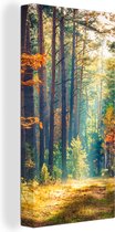 Canvas - Schilderij natuur - Bos - Bladeren - Natuur - Herfst - Wanddecoratie - Foto op canvas - 20x40 cm - Slaapkamer - Interieur