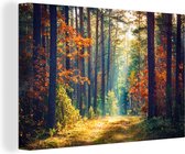 Canvas - Schilderij natuur - Bos - Bladeren - Natuur - Herfst - Wanddecoratie - Foto op canvas - 120x80 cm - Slaapkamer - Interieur