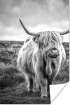 Poster Schotse hooglander - Dieren - Wolken - Koe - Natuur - 120x180 cm XXL