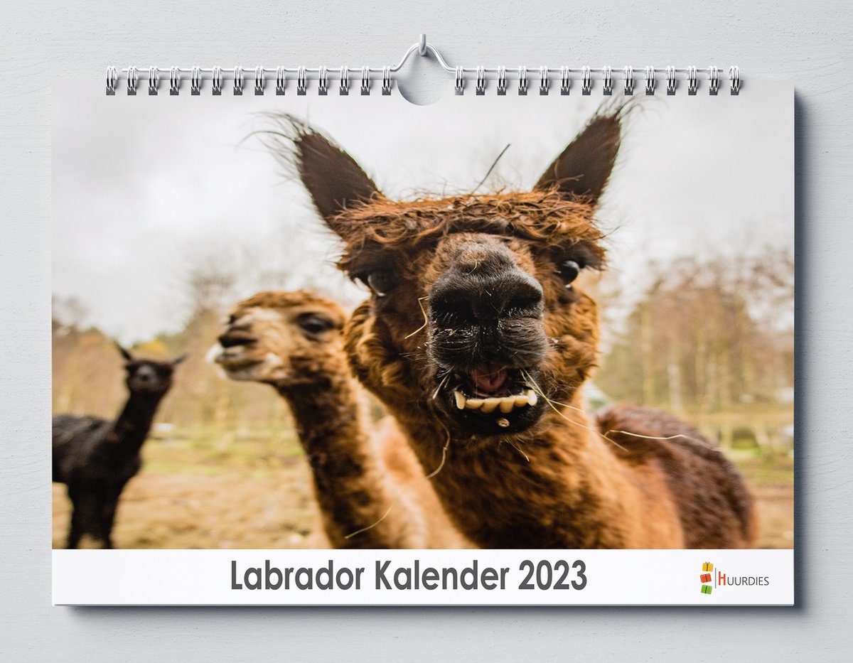 Lama kalender 2023 | 35x24 cm | jaarkalender 2023 | Wandkalender 2023