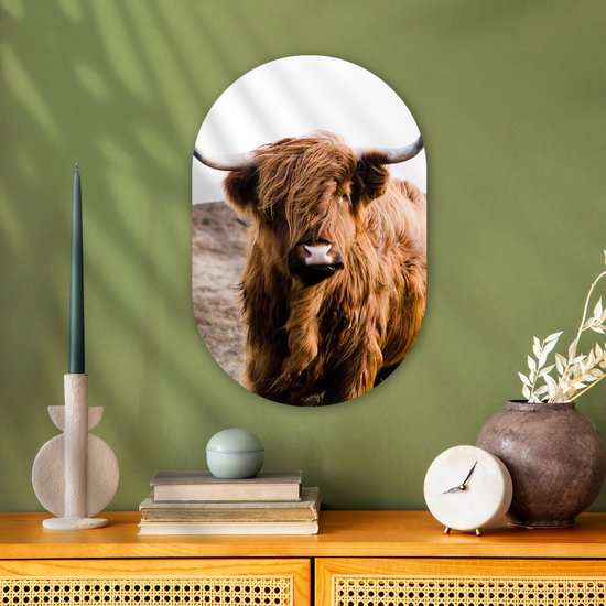 Ovale Mural - Ovale Mural - Décoration murale Plastique - Peinture Ovale - Highlander écossais - Paysage - Vache - Marron - Animaux - Nature - 40x60 cm - Forme miroir ovale sur plastique