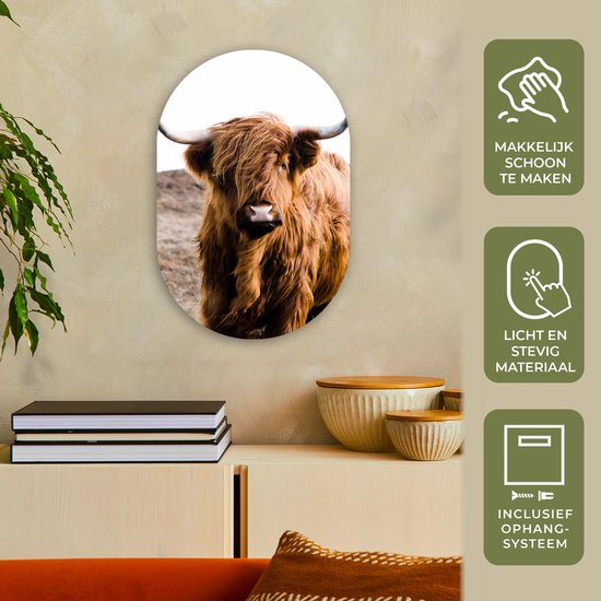 Ovale Mural - Ovale Mural - Décoration murale Plastique - Peinture Ovale - Highlander écossais - Paysage - Vache - Marron - Animaux - Nature - 40x60 cm - Forme miroir ovale sur plastique