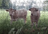 Fotofabriek puzzel | Puzzel dieren | Puzzel 120 stukjes | Puzzel koeien | Puzzel volwassenen (liggend)