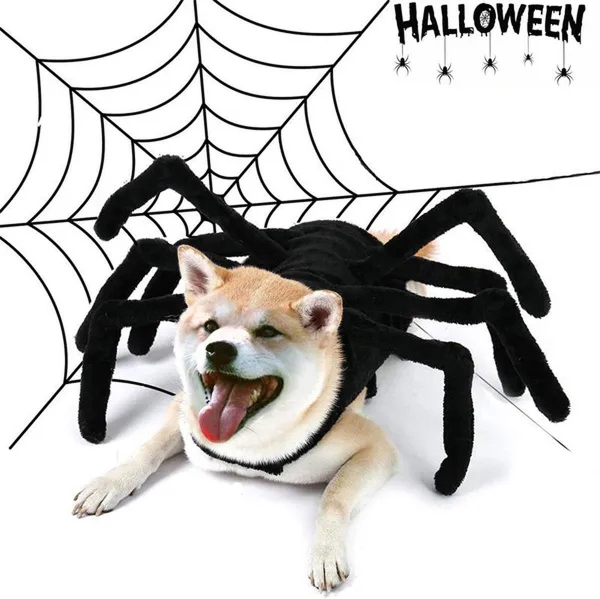 Halloween spinnen poten - hond / Kat - M