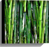 WallClassics - Canvas  - Groene Bamboe Takken bij Elkaar - 30x30 cm Foto op Canvas Schilderij (Wanddecoratie op Canvas)