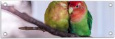 WallClassics - Tuinposter – Twee Verliefde Vogeltjes op een Tak - 60x20 cm Foto op Tuinposter  (wanddecoratie voor buiten en binnen)