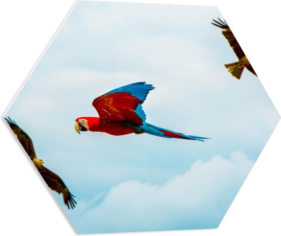 WallClassics - PVC Schuimplaat Hexagon  - Vliegende Vogels Ara Papegaaien - 60x52.2 cm Foto op Hexagon (Met Ophangsysteem)