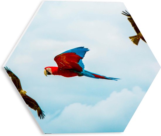 WallClassics - PVC Schuimplaat Hexagon  - Vliegende Vogels Ara Papegaaien - 30x26.1 cm Foto op Hexagon (Met Ophangsysteem)