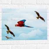 WallClassics - Muursticker - Vliegende Vogels Ara Papegaaien - 40x30 cm Foto op Muursticker