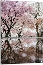 WallClassics - Tuinposter – Prachtige Bloesem Bomen - 80x120 cm Foto op Tuinposter  (wanddecoratie voor buiten en binnen)
