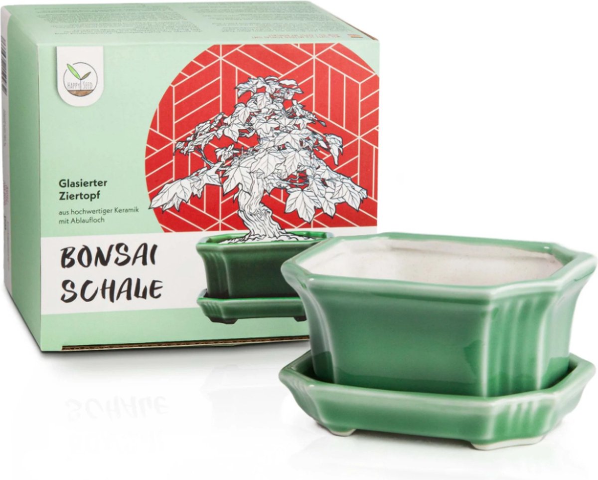 Bonsai-Schale Gr. 4 - Grün - oval - Modell O7