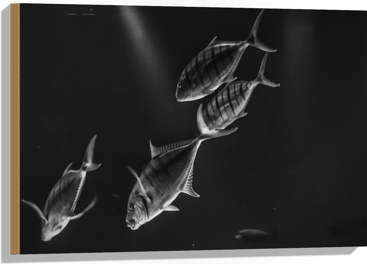 Hout - Vissen in het Aquarium Zwart - Wit - 75x50 cm - 12 mm dik - Foto op Hout (Met Ophangsysteem)