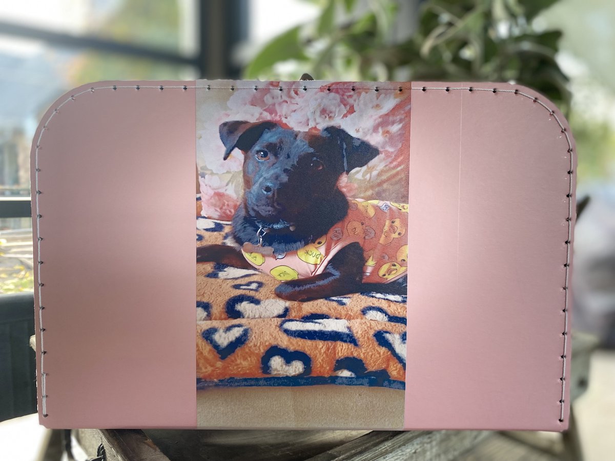 Bol.com Koffertje karton roze maat S aanbieding