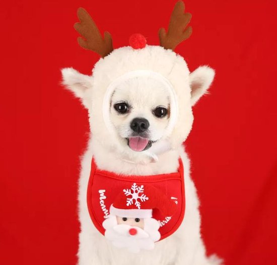 voor En Roeispaan Kerstpak voor je kleine hond of kat -L- muts en sjaal - kerstcadeau -  hondenkleding-... | bol.com