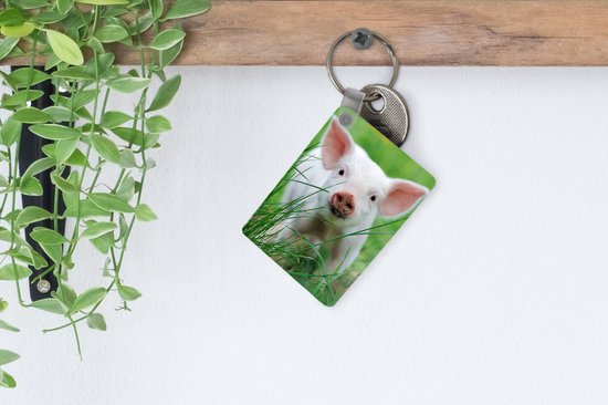 Porte-clés - Cochon - Animaux - Porcelet - Cadeaux à distribuer - Plastique - Cadeaux Sinterklaas - Cadeaux à distribuer pour les enfants - Cadeaux chaussures - Petits cadeaux