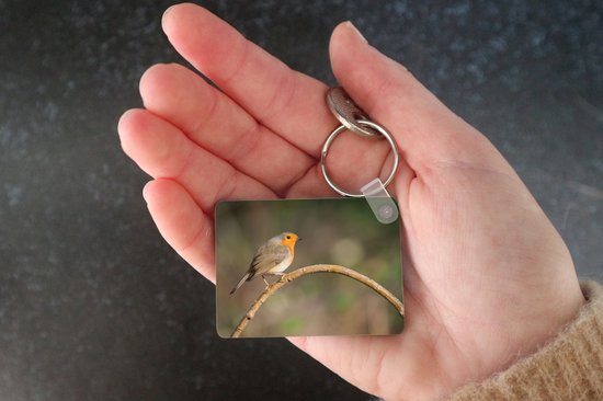 Porte-clés - Rouge-gorge - Vogel - Nature - Distribution de cadeaux - Plastique