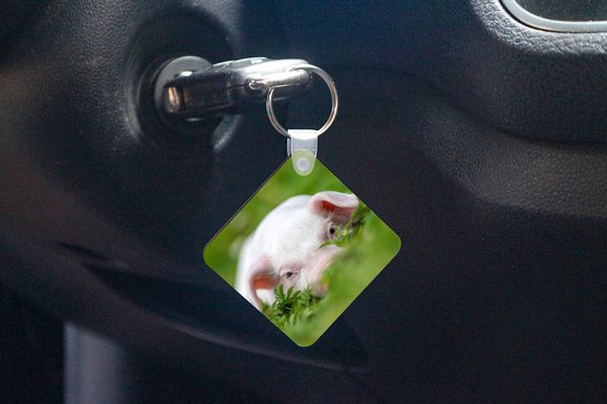 Porte-clés - Cadeaux - Cochon - Animaux - Porcelet - Plastique