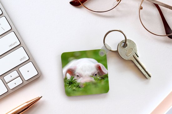 Porte-clés - Cadeaux - Cochon - Animaux - Porcelet - Plastique