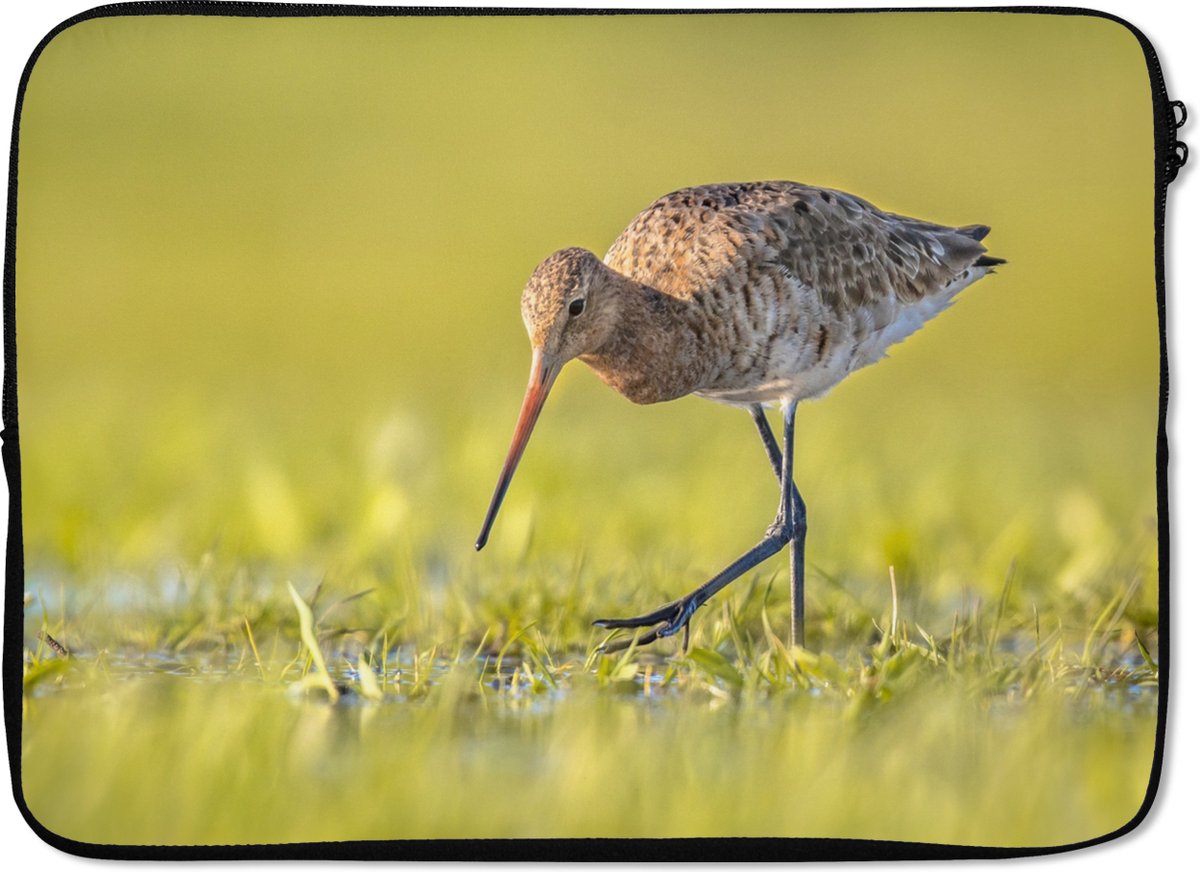 Laptophoes 13 inch - Vogels - Gras - Landschap - Grutto - Laptop sleeve - Binnenmaat 32x22,5 cm - Zwarte achterkant