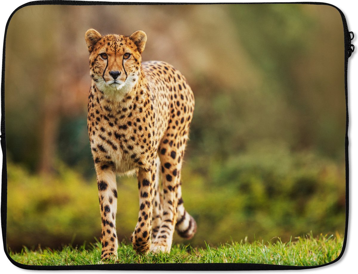 Laptophoes 15.6 inch - Wilde dieren - Gras - Luipaard - Natuur - Laptop sleeve - Binnenmaat 37x26 cm - Zwarte achterkant