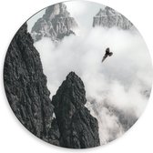 WallClassics - Dibond Muurcirkel - Vogel Vliegend tussen Bergen (zwart/wit) - 50x50 cm Foto op Aluminium Muurcirkel (met ophangsysteem)