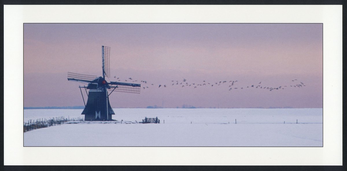 Molen in de sneeuw - Winterkaarten - Set van 10 lange winterkaarten