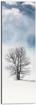 WallClassics - Dibond - Kale Eenzame Boom in Sneeuwlandschap - 20x60 cm Foto op Aluminium (Wanddecoratie van metaal)