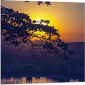 WallClassics - Vlag - Zon achter Takken - 80x80 cm Foto op Polyester Vlag