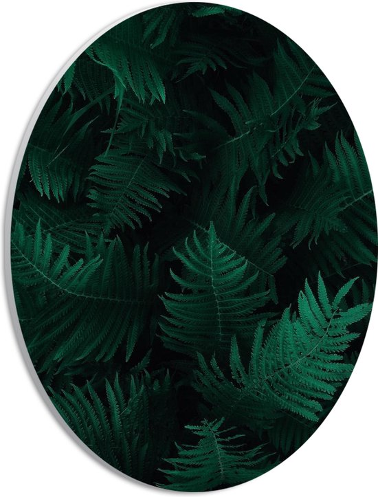 WallClassics - PVC Schuimplaat Ovaal - Groep Groene Bladeren  - 21x28 cm Foto op Ovaal  (Met Ophangsysteem)