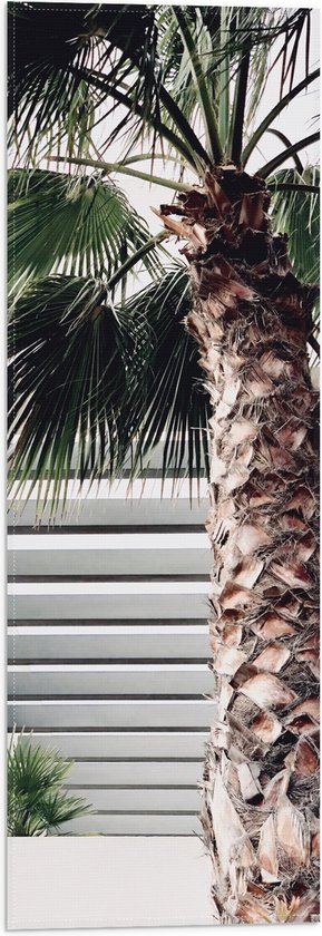 WallClassics - Vlag - Palmboom voor Wit Gebouw - 20x60 cm Foto op Polyester Vlag