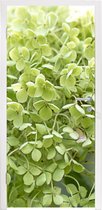 Deursticker Groene hortensia op een vervaagde achtergrond - 95x215 cm - Deurposter