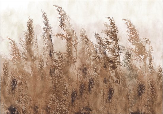 Foto: Fotobehangkoning behang vliesbehang fotobehang hoge grassen bruin weide veld 400 x 280 cm