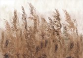 Papier peint photo - Hautes Herbes - Brun.
