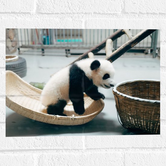 WallClassics - Sticker Muursticker - Bébé Panda en Séjour - 40x30 cm Photo sur Sticker Muursticker
